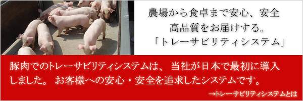 �¿��������֥ȥ졼���ӥ�ƥ������ƥ��