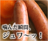 ���ڥե�󥯥ե��
