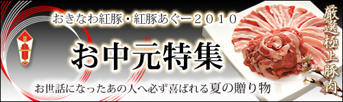 2010�����ʤ���ڡ����ڤ��������渵�ý�
